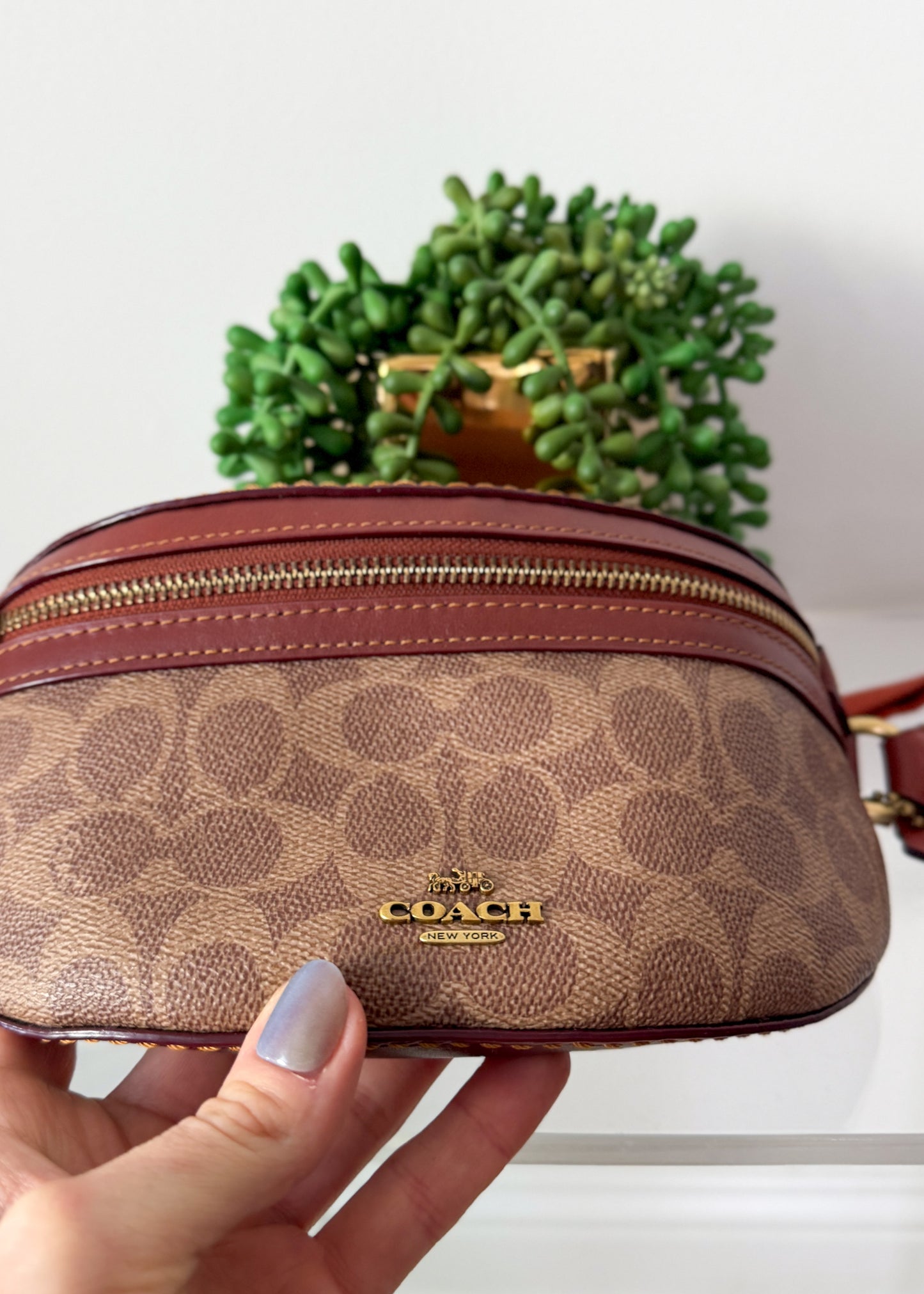 NEW Coach Bethany Belt Bag in Signature Canvas Brown Leather