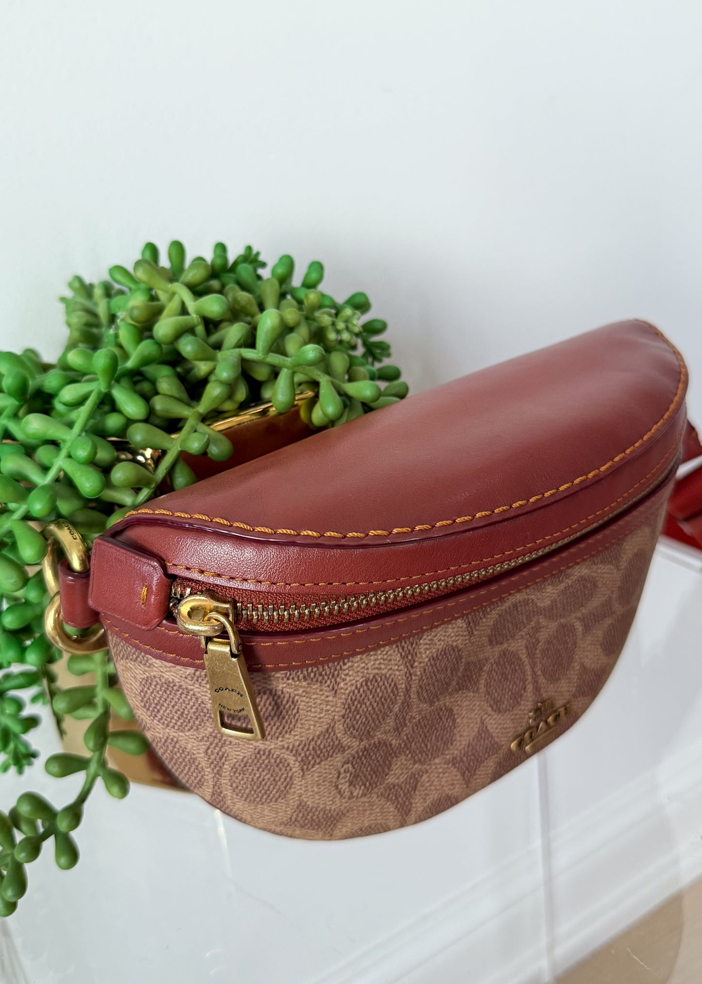 NEW Coach Bethany Belt Bag in Signature Canvas Brown Leather