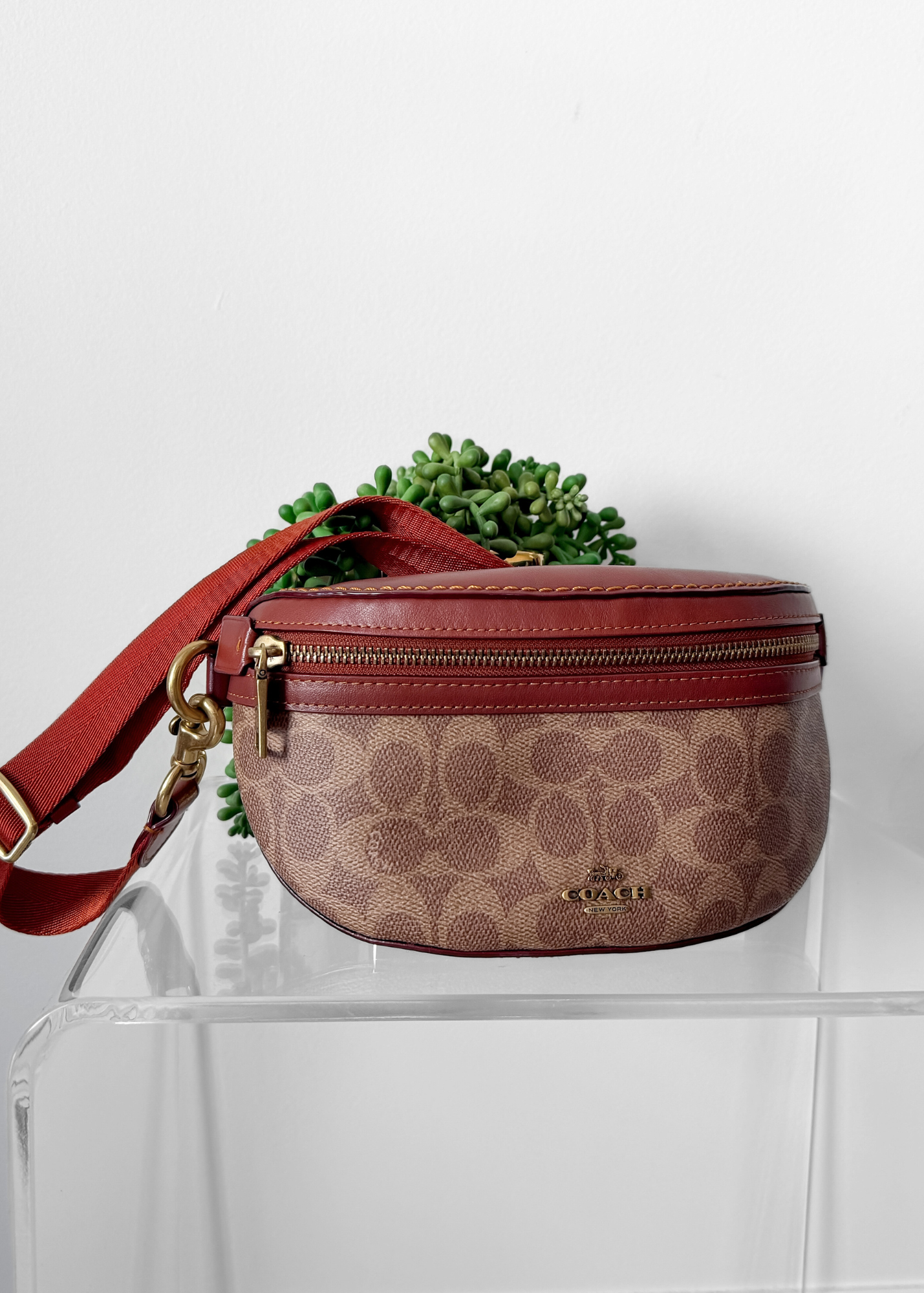 NEW Coach Bethany Belt Bag in Signature Canvas Brown Leather